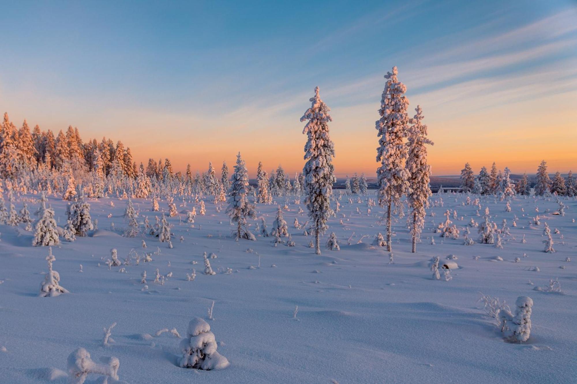 Hotel Mestarin Kievari Kemijärvi エクステリア 写真