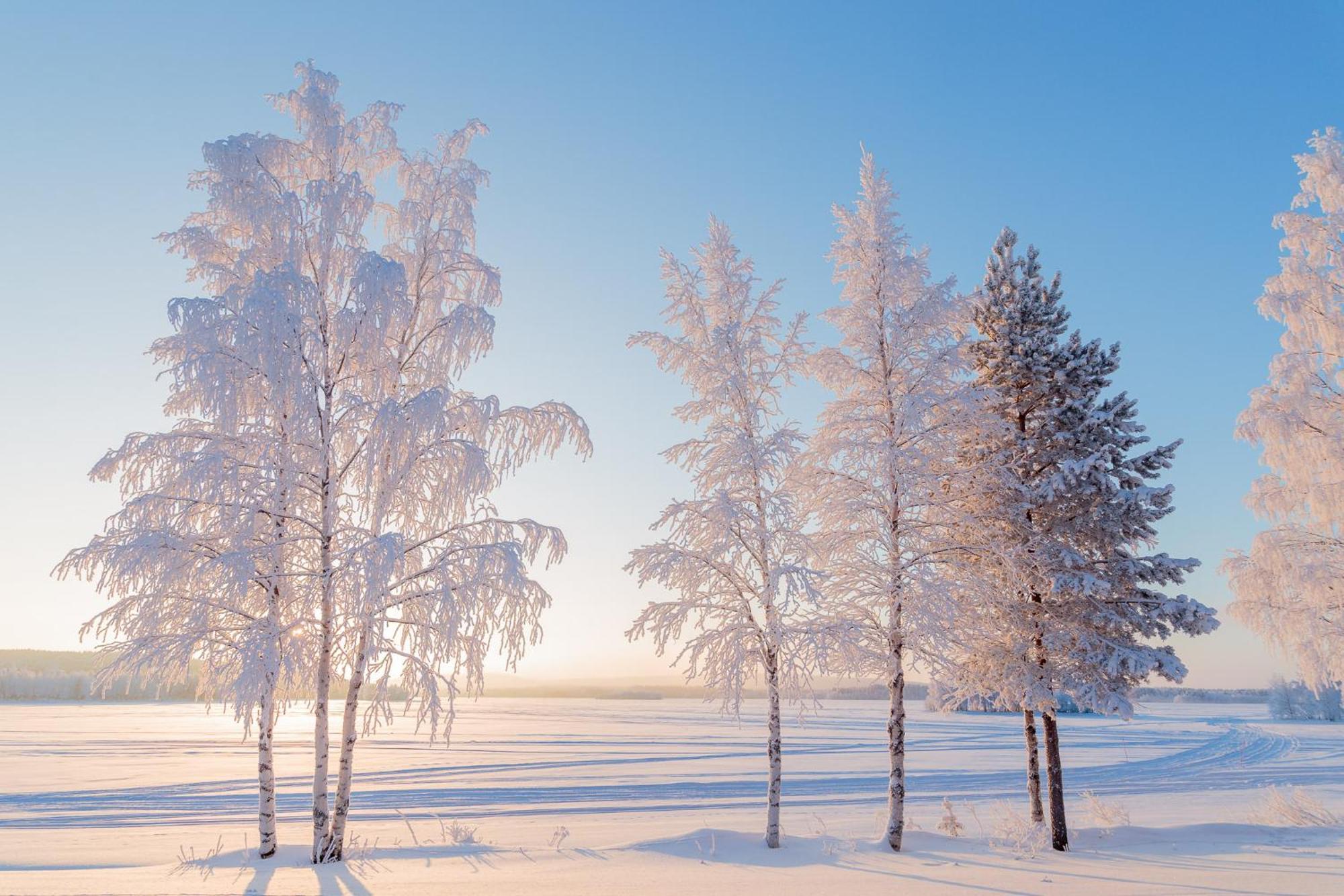 Hotel Mestarin Kievari Kemijärvi エクステリア 写真